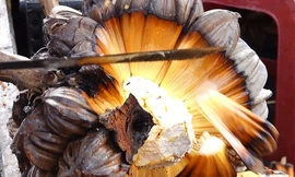 Trái dừa không có nước - đặc sản miền Tây Nam Bộ