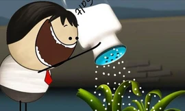 1001 thắc mắc: Vì sao cỏ chết khi rắc muối lên trên?