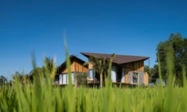 Độc đáo nhà dưỡng già 30 tỷ đồng giữa đồng lúa