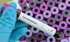 Giải mã cách virus corona xâm nhập và lây lan trong cơ thể