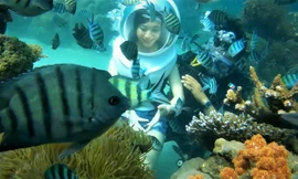 Đi bộ dưới đáy biển ngắm san hô