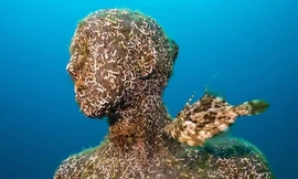 Tượng hình người bám rong rêu chìm dưới đáy biển Tây Ban Nha