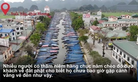 Chùa Hương vắng khách, hàng nghìn con đò phơi sương chờ khách