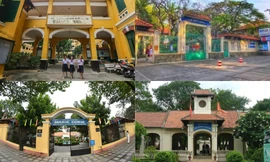 Vụ cây đổ khiến học sinh tử vong: Nguy cơ tiềm ẩn từ cây tuổi đời lâu năm tại các trường