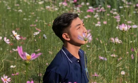 Sinh viên ĐH KH&XHNV (TP.HCM) khoe “Đà Lạt thu nhỏ” ngay trong khuôn viên trường