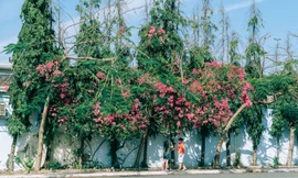 Những góc sống ảo “gây thương nhớ” ở Vũng Tàu khiến các bạn trẻ không thể rời mắt