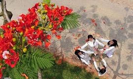 Cuộc thi viết Trà sữa cho tâm hồn: Những tháng năm rực rỡ 