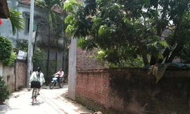 Thê thảm nhà đất ven đô