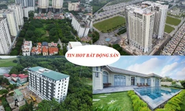 Loạt sàn giao dịch BĐS bị kiểm tra, xử chung cư mini xây 'chui' cả trăm căn hộ