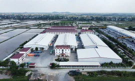 Hàng nghìn m2 quy hoạch bãi xe tại cụm công nghiệp ở Hà Nam biến thành kho chứa hàng