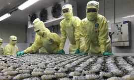 Việt Nam đi tìm con đường tăng trưởng mới 