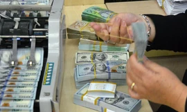 tín dụng ngoại tệ bắt đầu bị siết theo lộ trình 