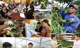 1,5 triệu hộ nghèo sẽ được vay tối đa tới 100 triệu để làm ăn mà không cần thế chấp 