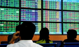 Phiên 7/11, thị trường chứng khoán đã mua bán lên tới ngưỡng gần 1 tỷ USD