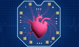 Tiết lộ mới về 'trái tim trong con chip' 