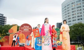 Đưa đoàn nghệ thuật biểu diễn phục vụ cộng đồng người Việt Nam tại Nhật Bản 