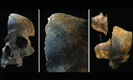 Tiết lộ hành vi bạo lực chưa từng có: Cắt lưỡi, moi ruột, ăn thịt người ở thời đại đồ đồng