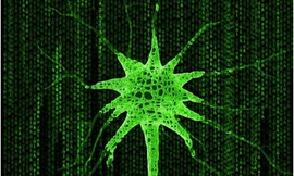 Tìm ra phương pháp kiềm chế ăn nhiều ở người béo phì và tiểu đường tuyp 2