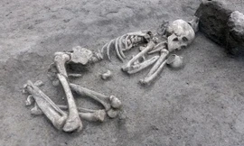 Khai quật 63 ngôi mộ cổ, hé lộ tục hỏa táng thời kỳ đồ đá mới