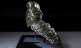 Ghép thành công áo giáp La Mã cực hiếm từ thế kỷ thứ 2 