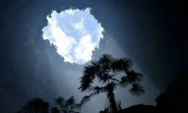 Kỳ lạ những khu rừng 'thiên đường' bên dưới các hố sụt lớn ở Trung Quốc 