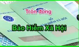 Lần đầu tiên khởi tố doanh nghiệp ở Phú Yên trốn đóng bảo hiểm xã hội