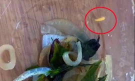 Nha Trang dừng nấu ăn tại khách sạn cách ly bị khách 'tố' có giòi trong thức ăn 