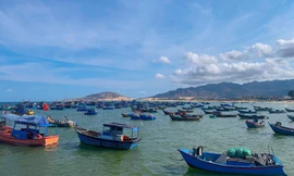 ‘Làng chạy gió’ ven biển có gì mà hút khách du lịch đến vậy? 