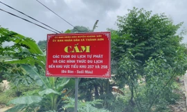 Nhóm du khách mắc kẹt, mất liên lạc trên núi Tà Giang đã trở về an toàn