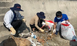 Đoàn viên, thanh niên tỉnh Khánh Hoà tham gia dọn rác thải tại bãi biển Nha Trang