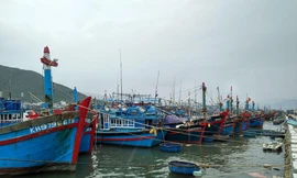 Khánh Hoà cấm tàu thuyền ra biển để ứng phó siêu bão Rai