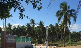 Sử dụng hàng trăm ha đất công không thuế: Bất ngờ chuyển đất nông nghiệp thành NƠXH