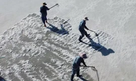 Nghề 'ăn nắng, uống gió' trên cánh đồng muối lớn nhất miền Trung