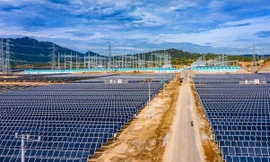 Chủ tịch một tập đoàn lớn bị tạm hoãn xuất cảnh 