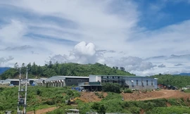 Khánh Hòa không để 'phạt cho tồn tại' trại heo xây trái phép trên đất rừng