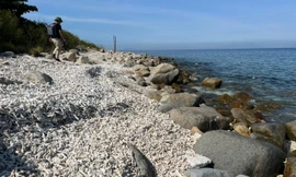 San hô chết trắng trôi dạt vào KBTB Hòn Mun