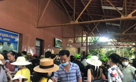  Bệnh nhân COVID-19 số 3141 đi du lịch nhiều nơi tại Nha Trang, Đà Lạt 