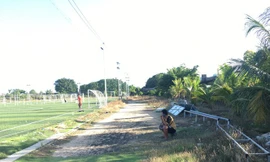 Khánh Hoà yêu cầu kiểm tra việc cho thuê 'đất vàng' SVĐ Cam Ranh giá bèo.