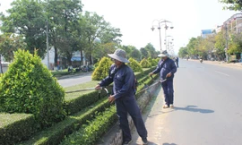 Bộ Công an yêu cầu cung cấp hồ sơ 30 dự án cây xanh ở Phú Yên