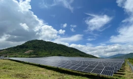 Sẽ thanh tra sai phạm loạt dự án điện mặt trời