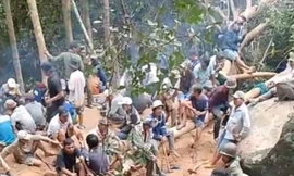 Người dân đổ xô vào rừng tìm trầm sau tin đồn trúng kỳ nam tiền tỷ ở Phú Yên 