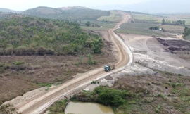 Người dân trồng hàng chục nghìn cây mai trên dự án cao tốc Khánh Hòa - Buôn Ma Thuột