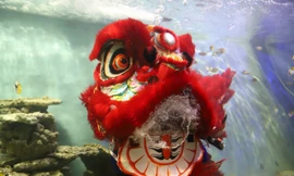 VIDEO: Đeo bình dưỡng khí múa lân dưới 'thủy cung' ở Nha Trang