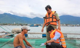 Khánh Hoà chạy đua ứng phó trước giờ 'cuồng phong' số 12 đổ bộ