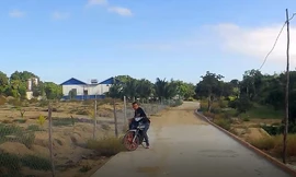 Khánh Hoà: Núi Hòn Rồng tiếp tục bị 'cày xới' để xây dựng trái phép