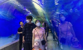 Đường hầm xuyên núi Cảnh Long