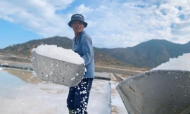 Diêm dân nhọc nhằn mưu sinh dưới nắng 'như rang'