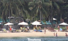 Đề xuất xử phạt 89 triệu đồng đơn vị du lịch cho Cty Trung Quốc mượn giấy phép