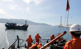 Ba tàu cá Khánh Hoà bị Indonesia bắt giữ khi đang đánh cá tại vùng biển Việt Nam