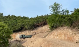 Tự ý bạt núi để làm đường, vườn ươm dược liệu ở Khánh Hòa
